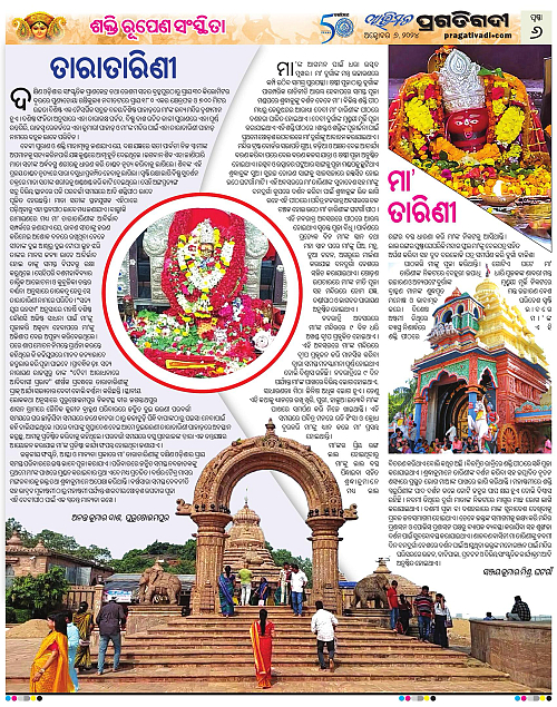 Avimat-06-10-2024-06