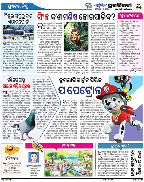 Avimat-17-11-2024-15
