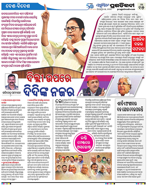 Avimat-15-12-2024-15