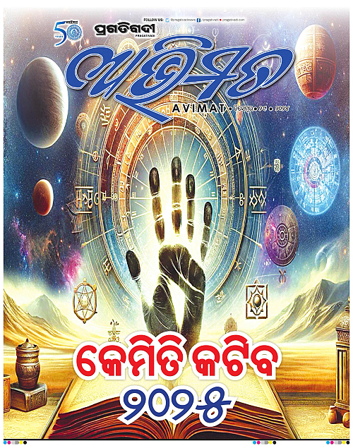 Avimat-29-12-2024-01