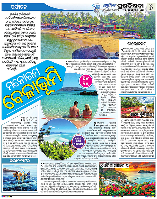 Avimat-29-12-2024-07