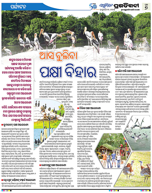 Avimat-12-01-2025-07