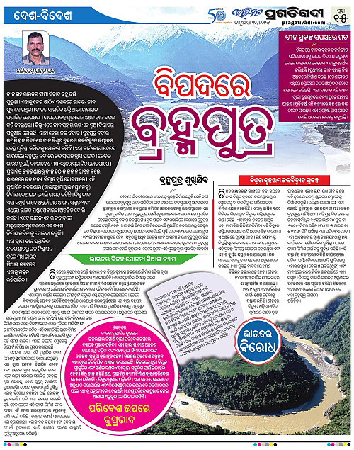 Avimat-12-01-2025-15