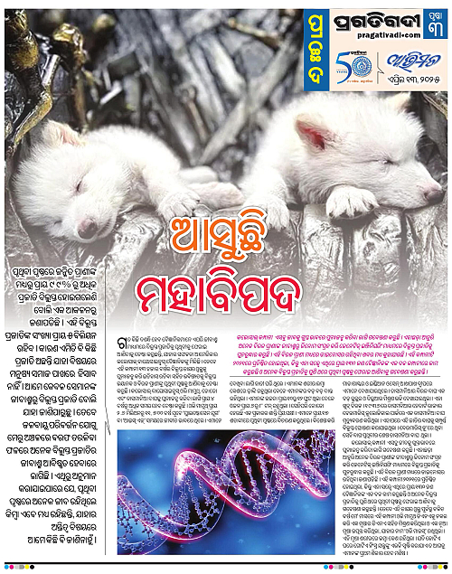 Avimat-13-04-2025-03