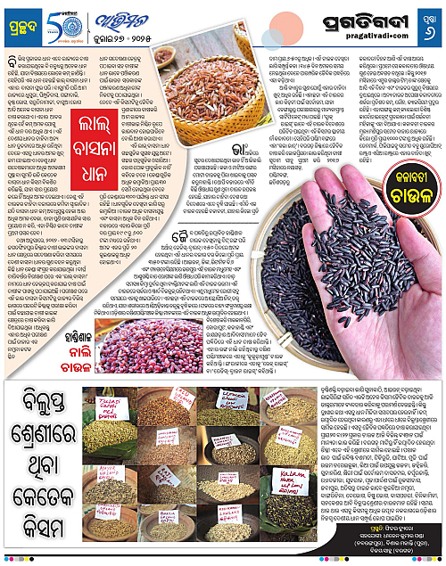 Avimat-27-07-2025-06