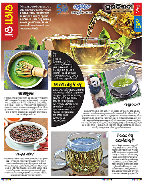 Avimat-07-09-2025-07