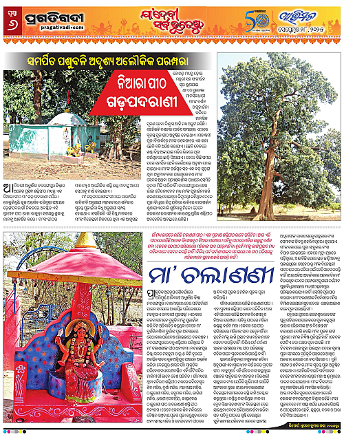 Avimat-28-09-2025-06