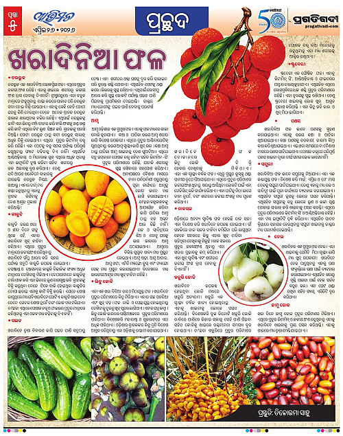 Avimat-26-04-2026-05