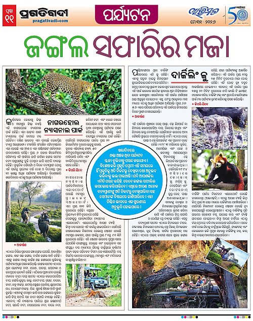 Avimat-31-05-2026-11